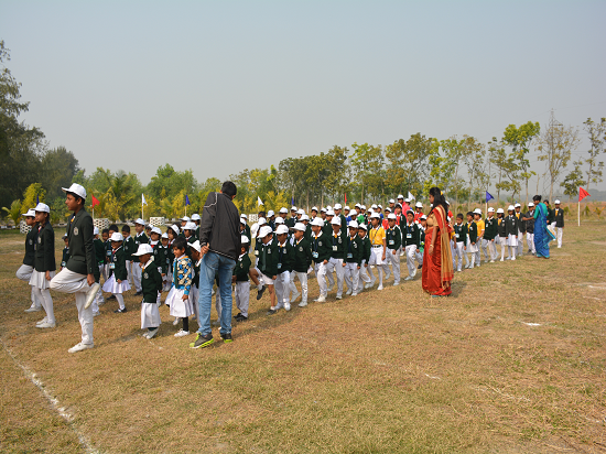 Image Gallery