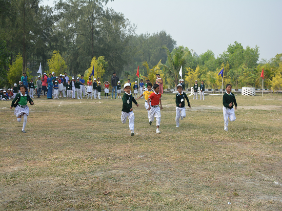 Image Gallery