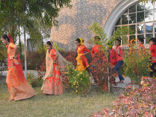 Image Gallery